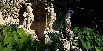 arboretum-trsteno.jpg
